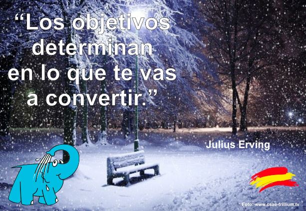 Los objetivos determinan en lo que te vas a convertir.